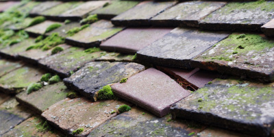 Little Wood Corner roof repair costs